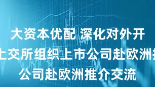大资本优配 深化对外开放合作 上交所组织上市公司赴欧洲推介交流