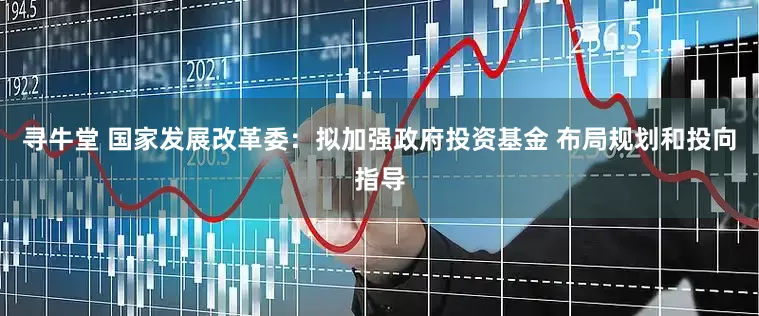 寻牛堂 国家发展改革委：拟加强政府投资基金 布局规划和投向指导