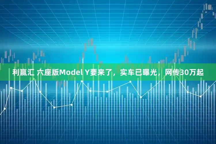 利赢汇 六座版Model Y要来了，实车已曝光，网传30万起