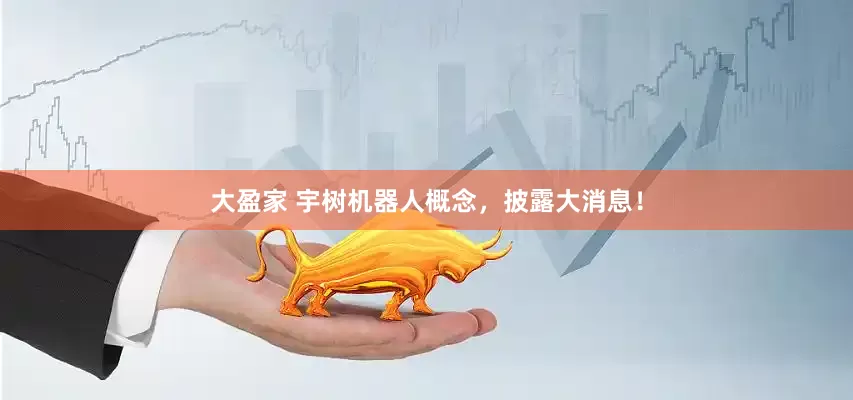 大盈家 宇树机器人概念，披露大消息！