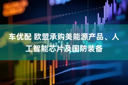 车优配 欧盟承购美能源产品、人工智能芯片及国防装备