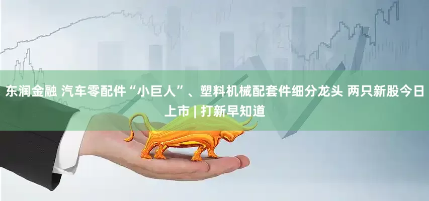 东润金融 汽车零配件“小巨人”、塑料机械配套件细分龙头 两只新股今日上市 | 打新早知道