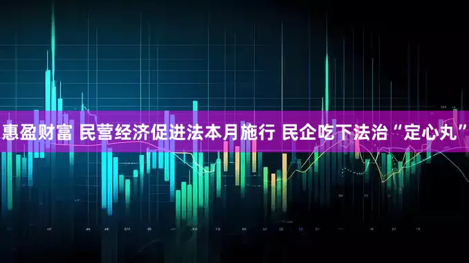 惠盈财富 民营经济促进法本月施行 民企吃下法治“定心丸”